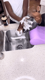 Moisture Galore Shampoo